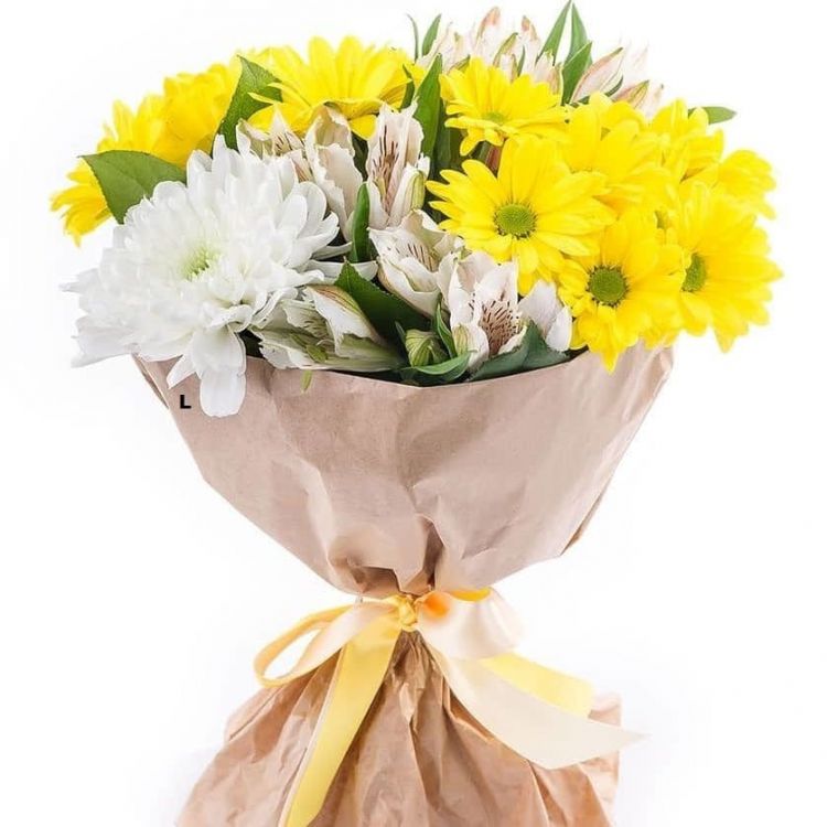 Солнечный луч от 6 700 руб.